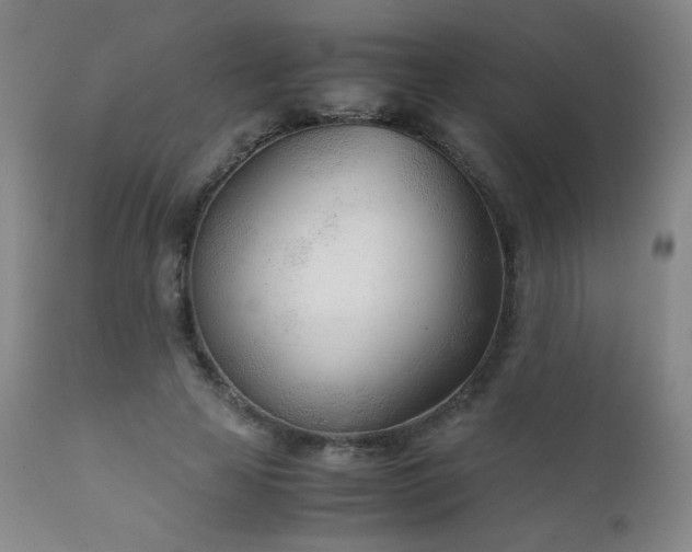 X0000111920641200907271250