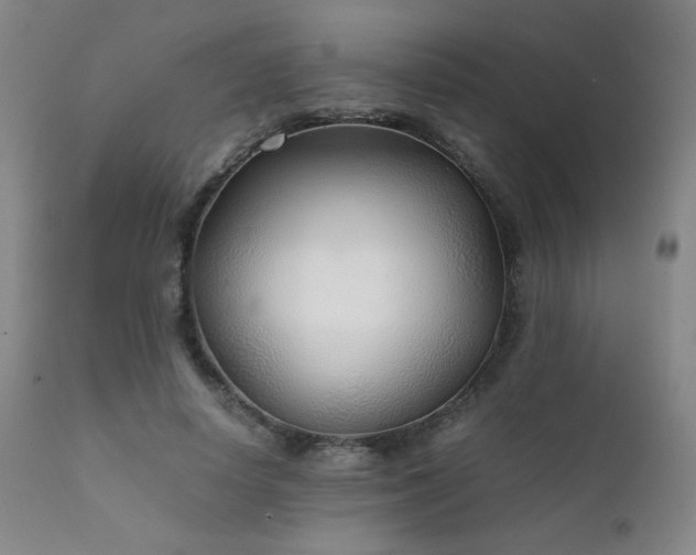 X0000111920642200907271250