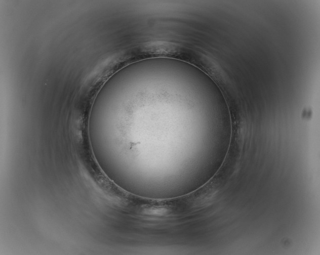 X0000111920643200907271250