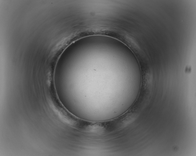 X0000111920644200907271250