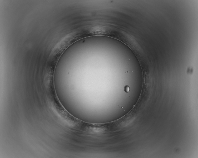 X0000111920645200907271250