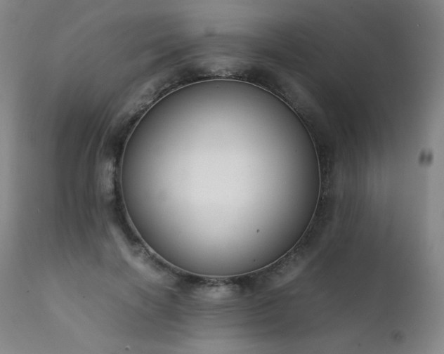X0000111920646200907271250