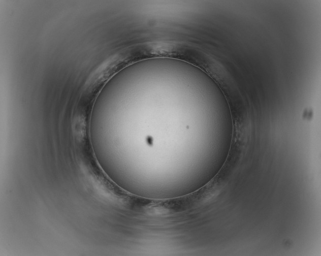 X0000111920648200907271250
