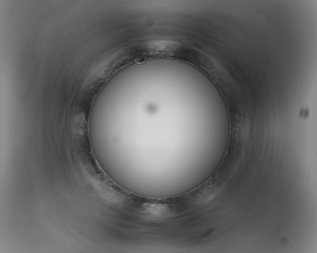 X0000111920649200907271250
