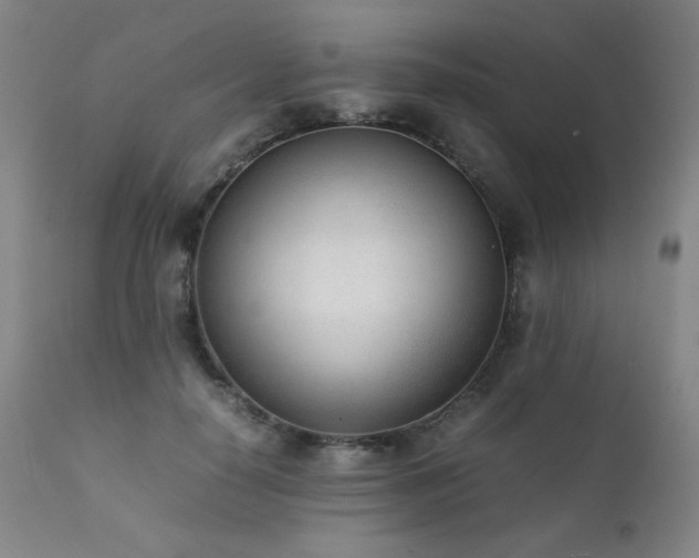 X0000111920650200907271250