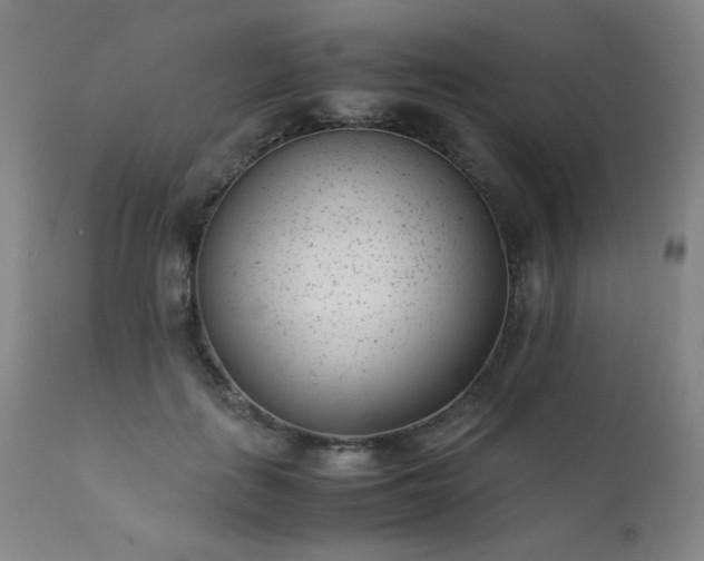 X0000111920651200907271250