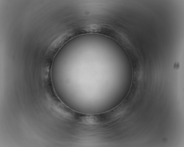 X0000111920652200907271250