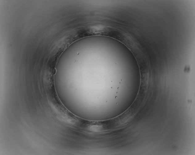 X0000111920653200907271250