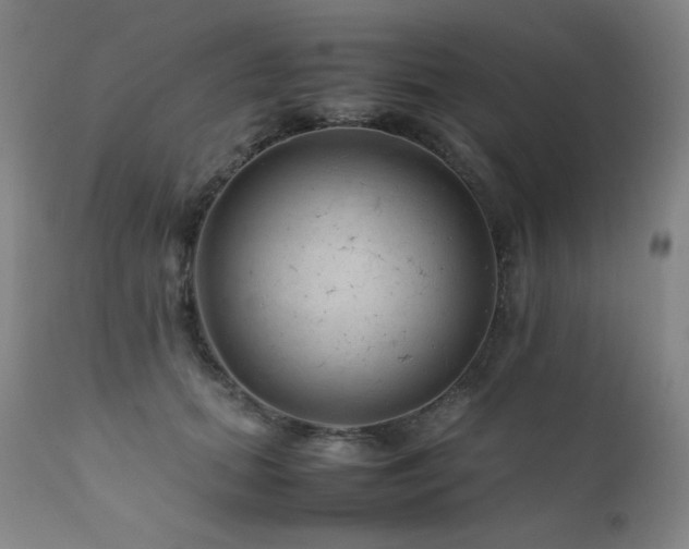 X0000111920655200907271250