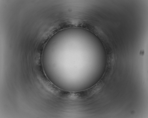 X0000111920656200907271250