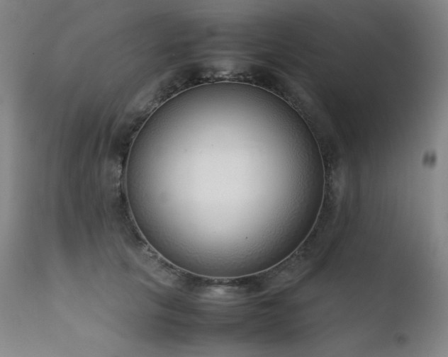 X0000111920657200907271250