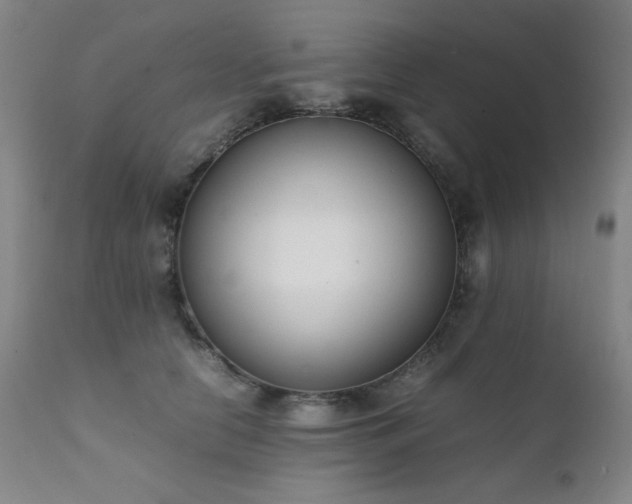 X0000111920658200907271250