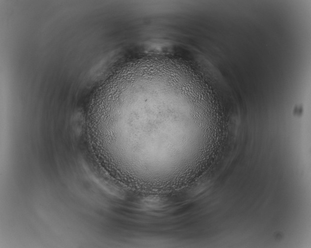 X0000111920659200907271250