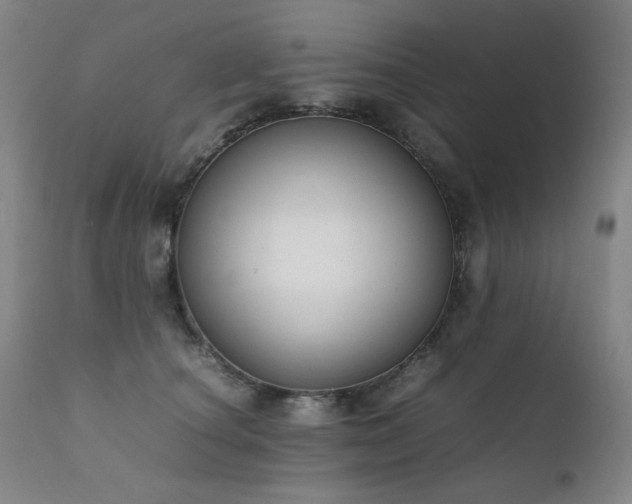 X0000111920660200907271250