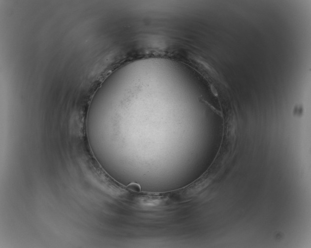 X0000111920661200907271250