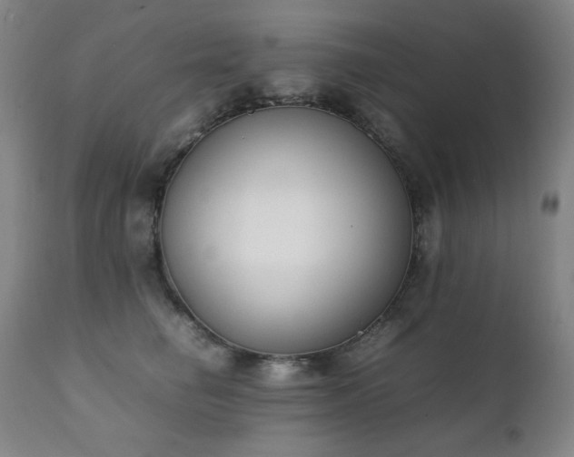 X0000111920662200907271250