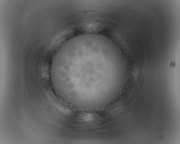 X0000111920663200907271250