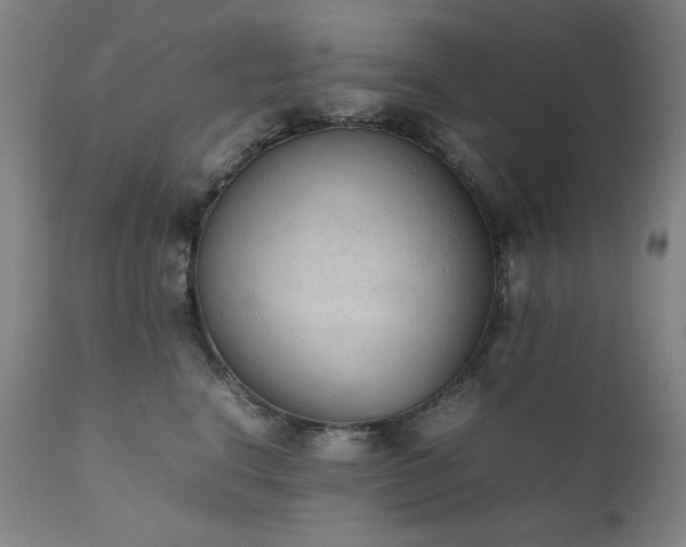 X0000111920664200907271250
