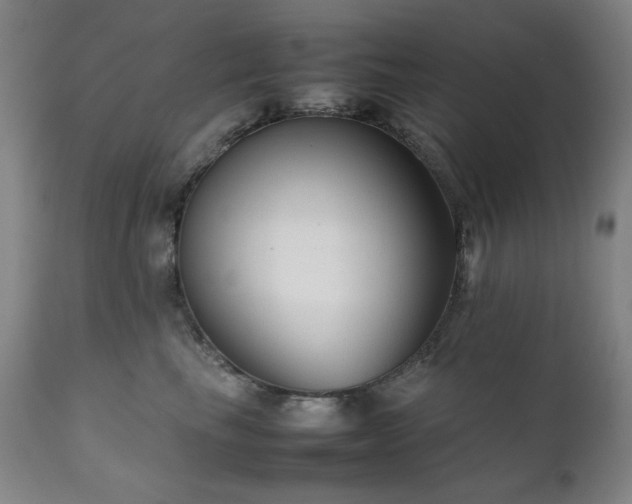 X0000111920665200907271250