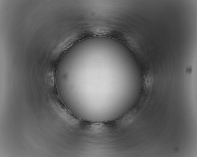 X0000111920666200907271250