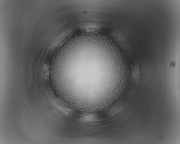 X0000111920667200907271250