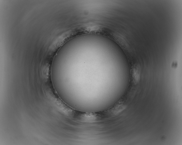 X0000111920668200907271250