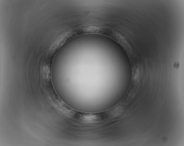 X0000111920669200907271250