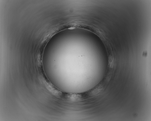 X0000111920670200907271250