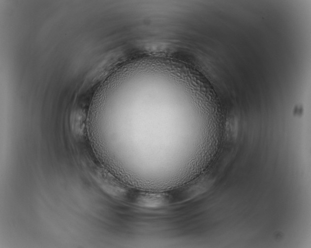 X0000111920671200907271250