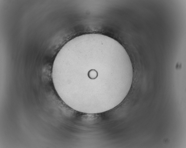 X0000111920672200907271250