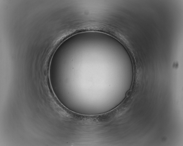 X0000111920673200907271250