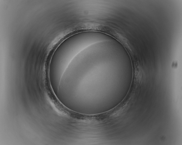 X0000111920674200907271250