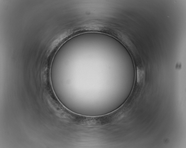 X0000111920675200907271250