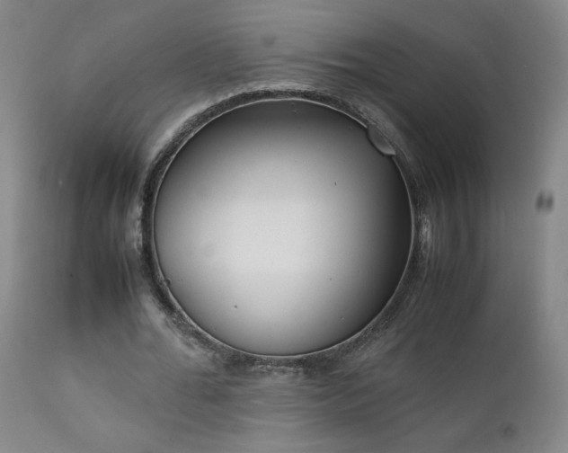 X0000111920676200907271250