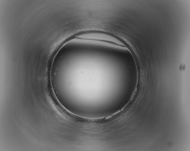 X0000111920677200907271250
