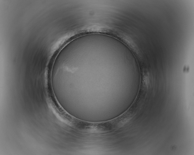X0000111920678200907271250