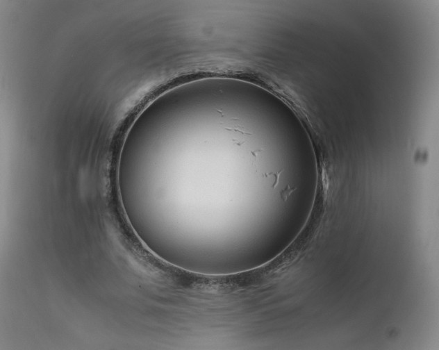 X0000111920679200907271250