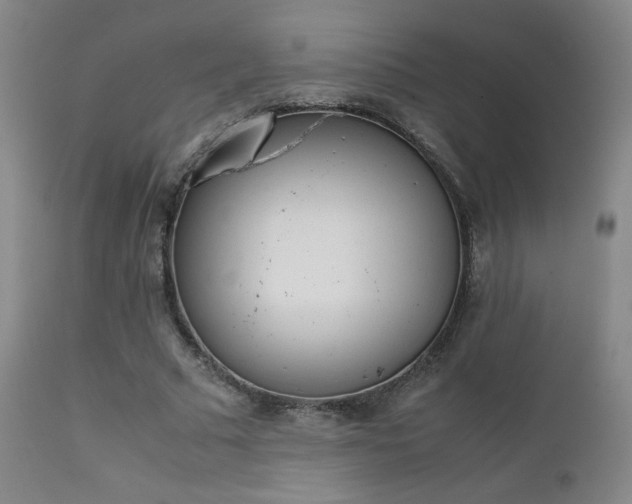 X0000111920681200907271250