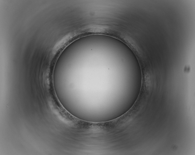 X0000111920682200907271250