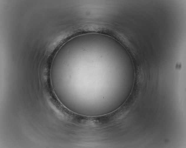 X0000111920683200907271249
