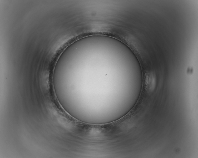 X0000111920684200907271249