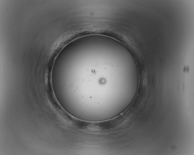 X0000111920685200907271249