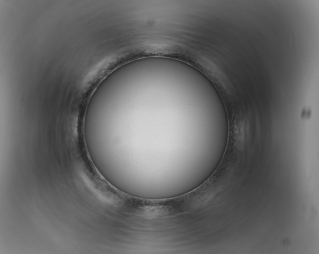 X0000111920686200907271249
