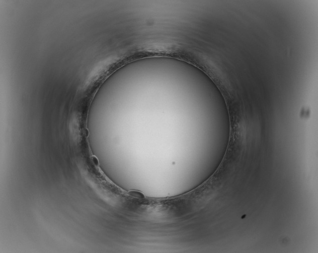 X0000111920688200907271249