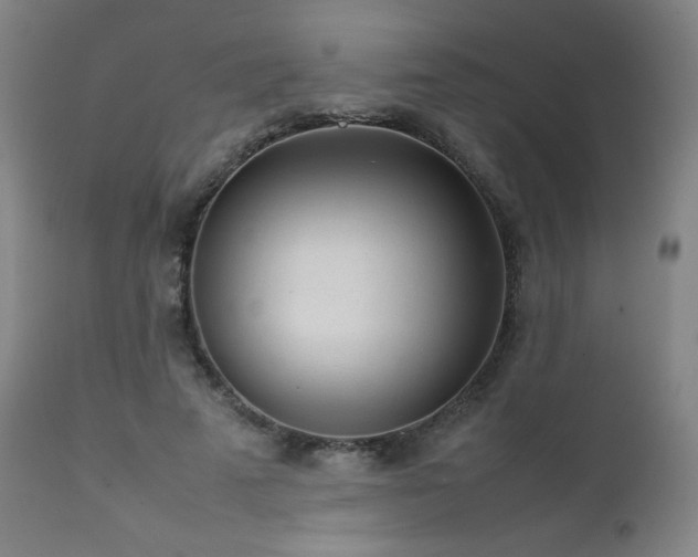 X0000111920689200907271249