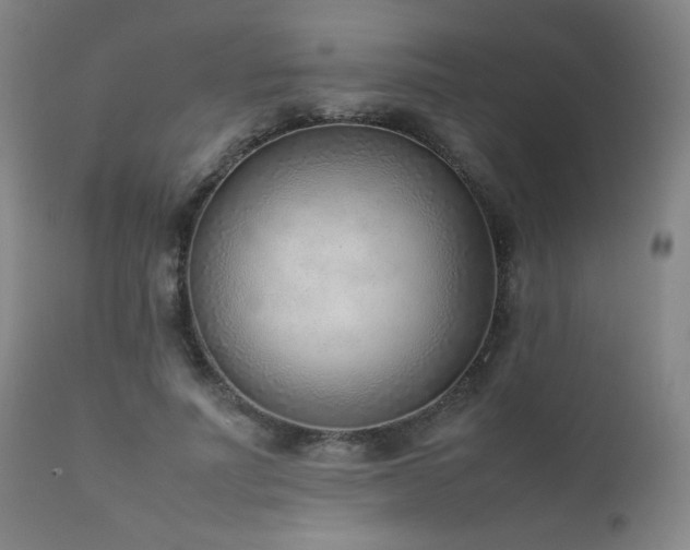 X0000111920691200907271249