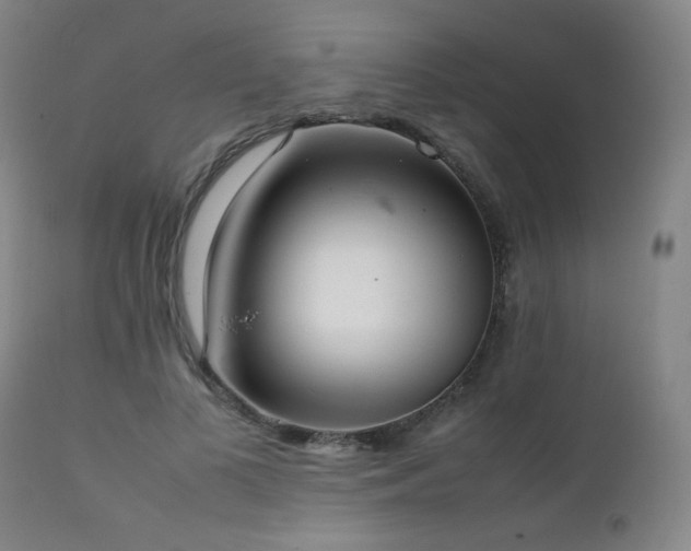 X0000111920693200907271249