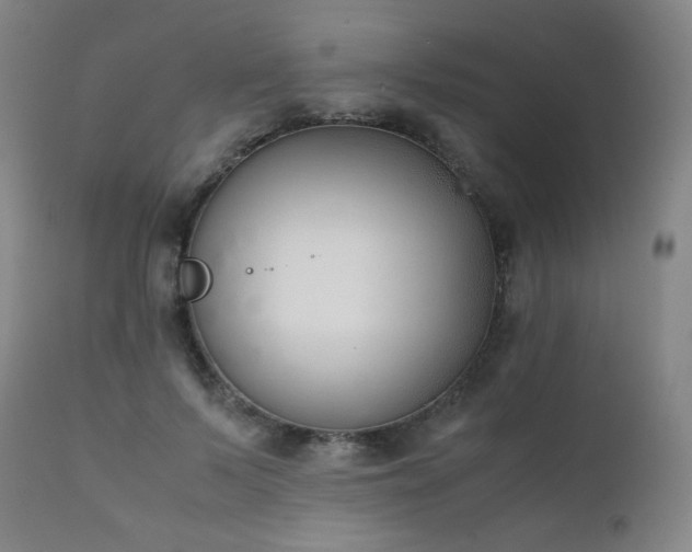 X0000111920695200907271249