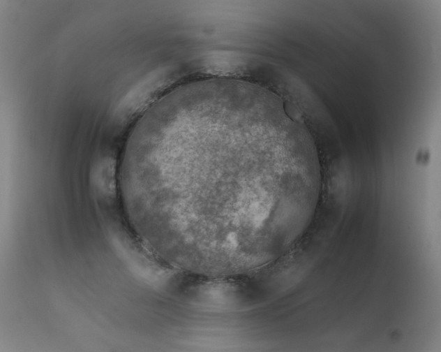X0000111920696200907271249