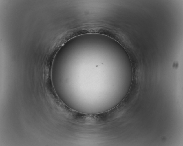 X0000111920697200907271249